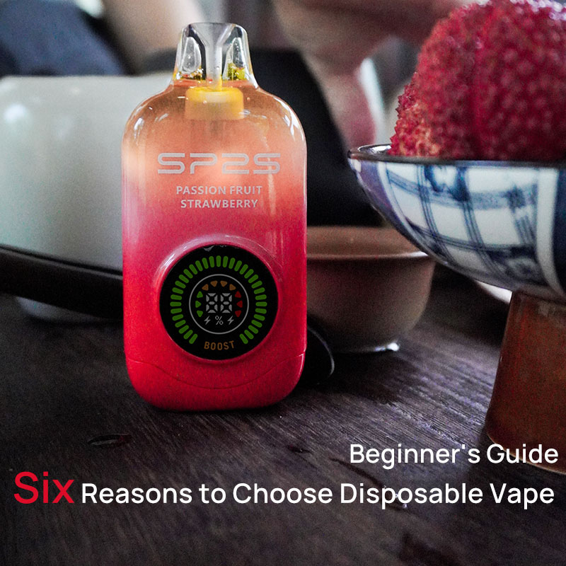 Beginner's Guide: Six Reasons to Choose Disposable Vape